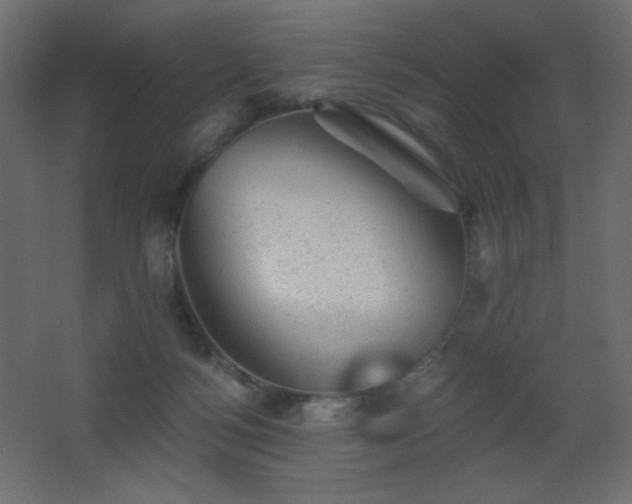 X0000068280172200604211120