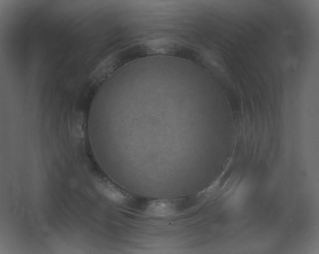 X0000068280174200604211120