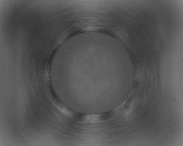 X0000068280179200604211120