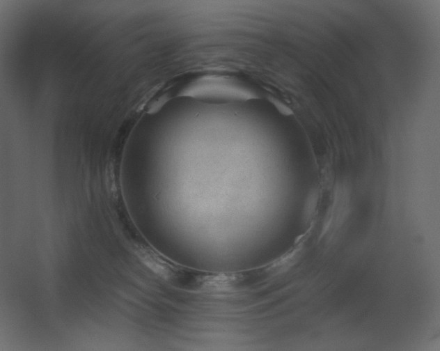 X0000068280182200604211120