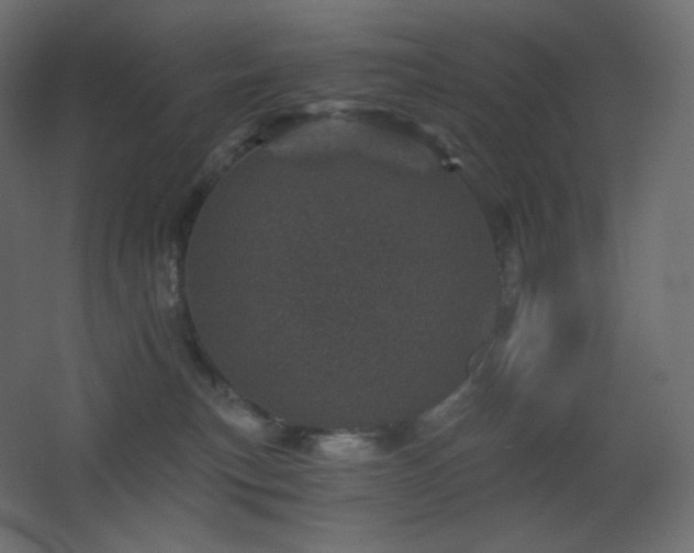 X0000068280183200604211120