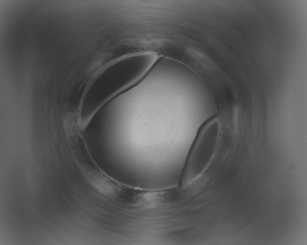 X0000068280184200604211120