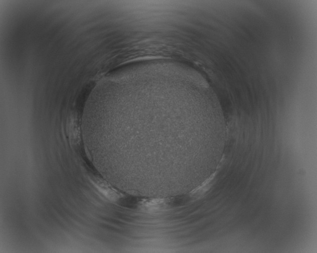 X0000068280186200604211120
