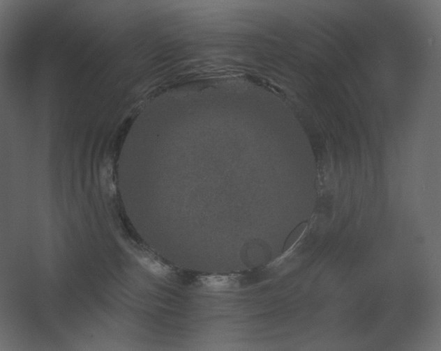 X0000068280187200604211120