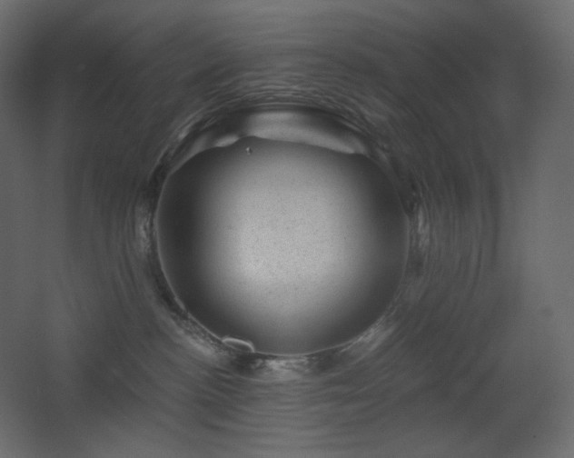 X0000068280188200604211120