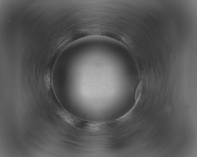 X0000068280190200604211121