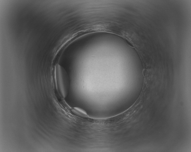 X0000068280194200604211120