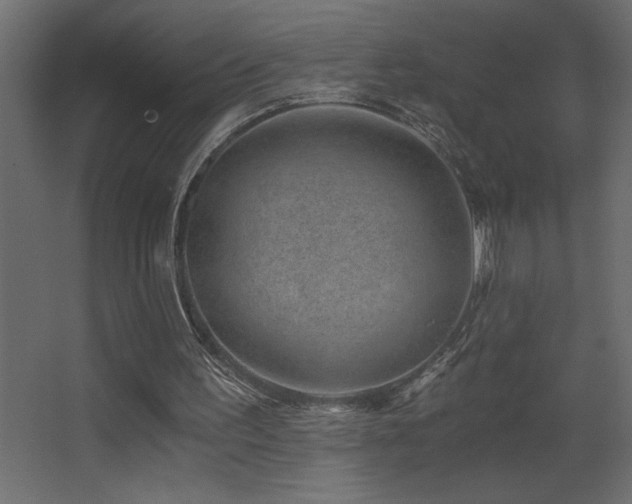 X0000068280195200604211120