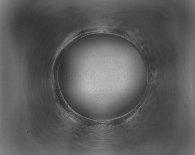 X0000068280198200604211120