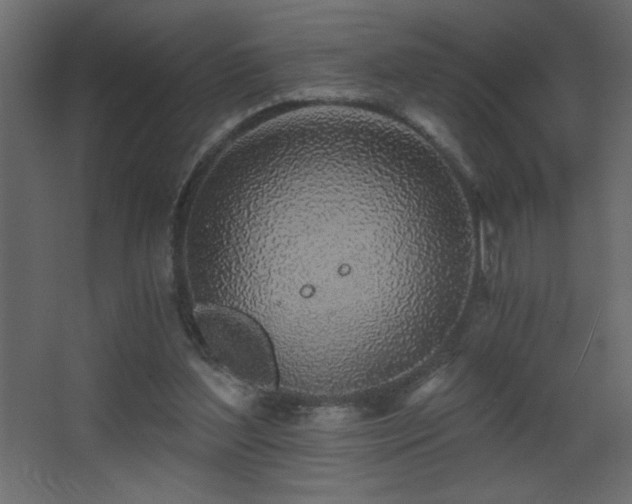X0000068280204200604211120