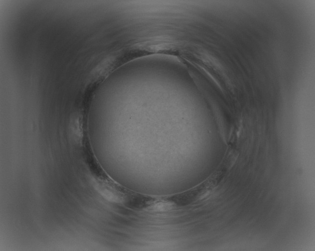 X0000068280210200604211119