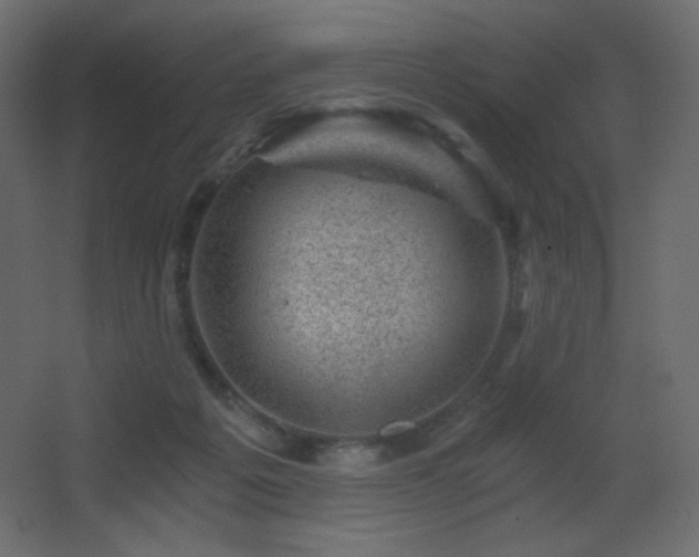 X0000068280217200604211119