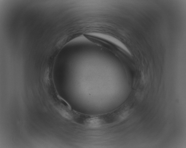 X0000068280219200604211119
