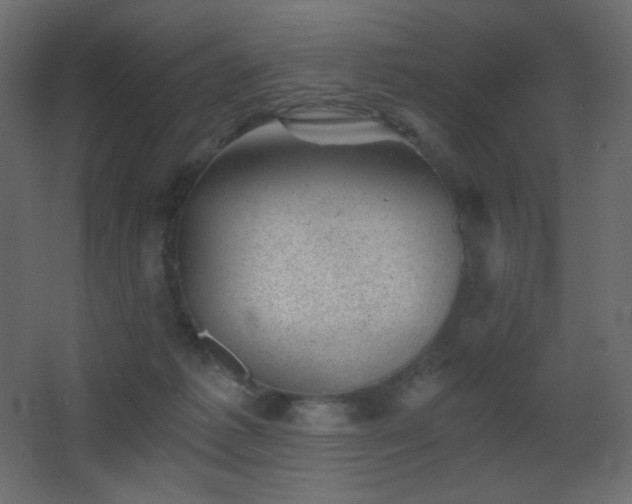 X0000068280221200604211119
