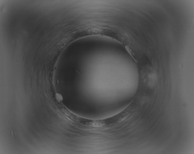 X0000068280223200604211119