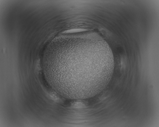 X0000068280224200604211119