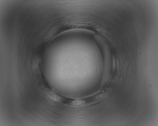X0000068280225200604211119
