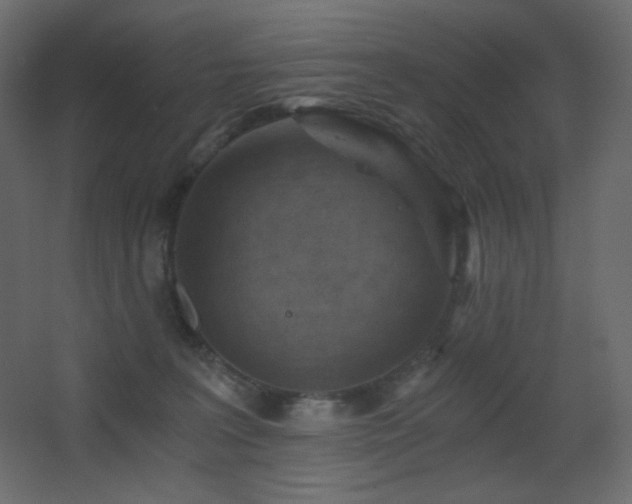 X0000068280227200604211119