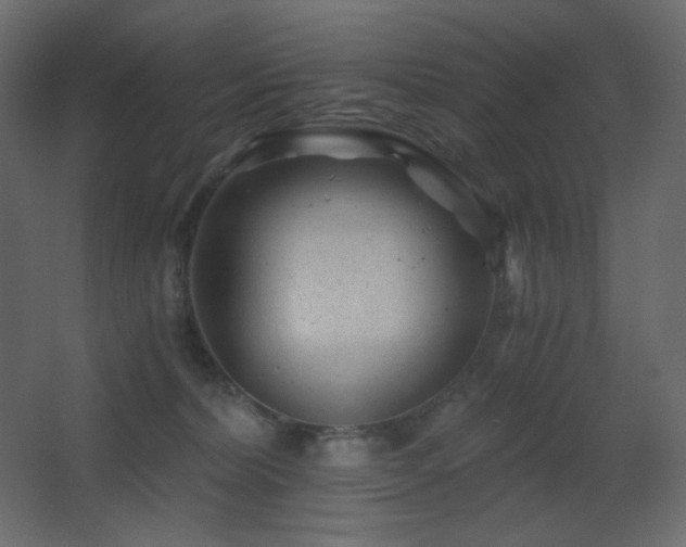 X0000068280228200604211119