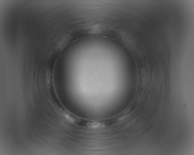 X0000068280230200604211119