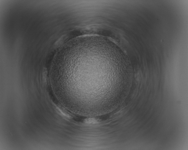 X0000068280231200604211119
