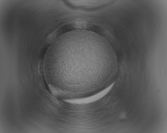 X0000068280233200604211119
