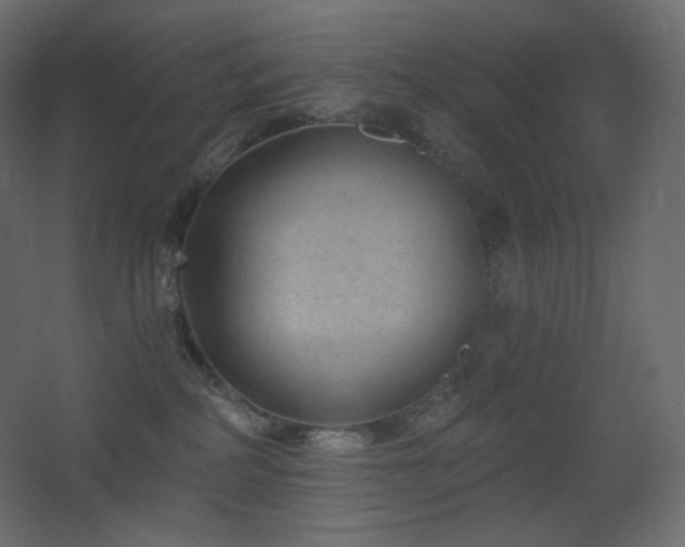 X0000068280234200604211119