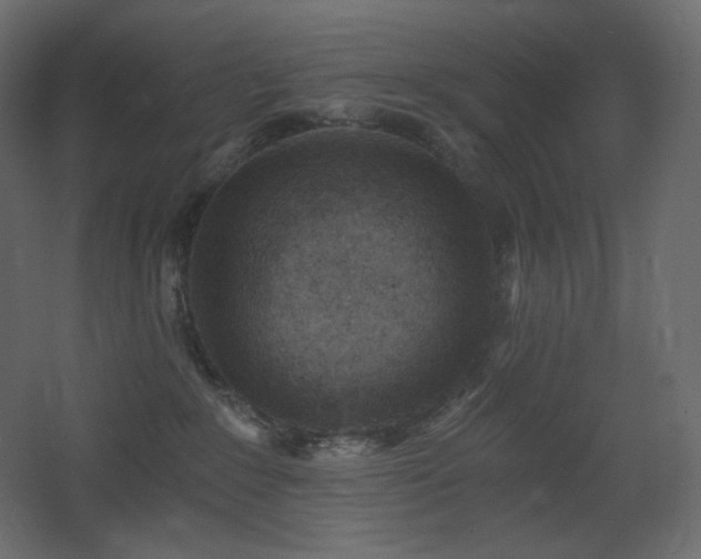 X0000068280235200604211119