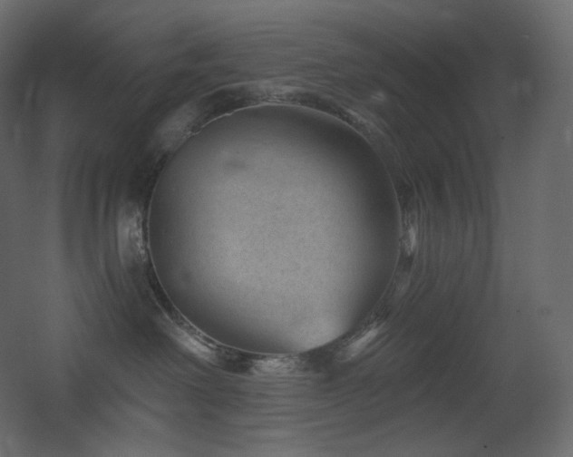 X0000068280238200604211119