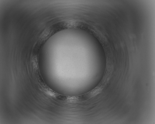 X0000068280240200604211119