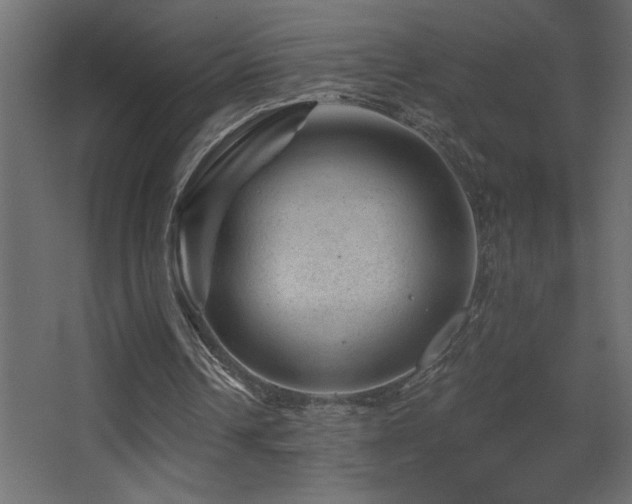 X0000068280242200604211118