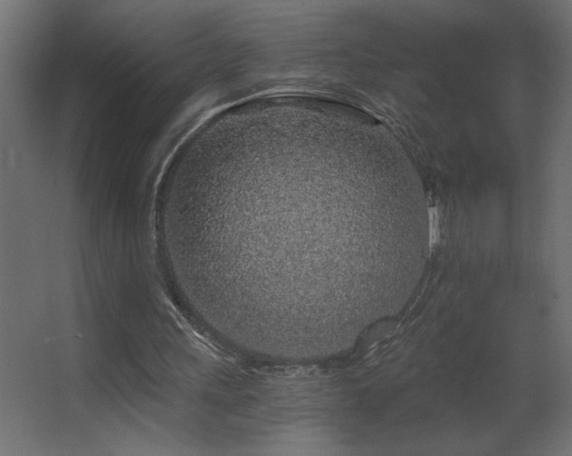 X0000068280243200604211118
