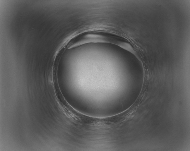 X0000068280244200604211118