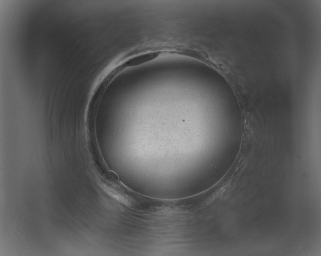 X0000068280246200604211118