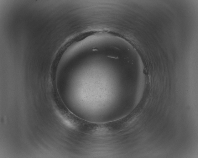 X0000068280256200604211118