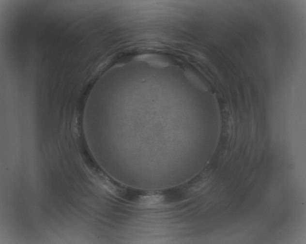 X0000068280266200604211119