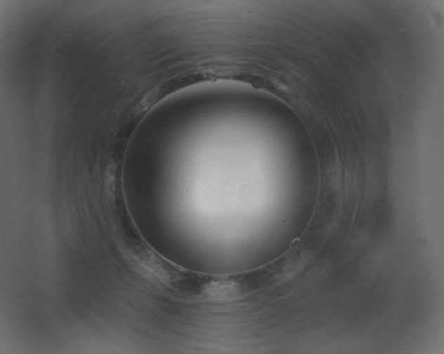 X0000068280271200604211119