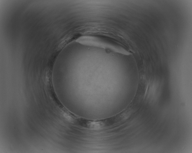 X0000068280277200604211119
