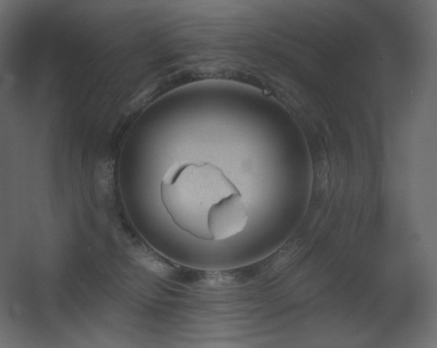 X0000068280278200604211119
