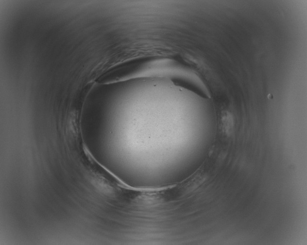 X0000068280280200604211119