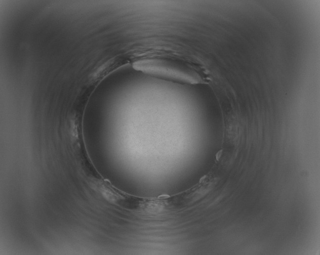 X0000068280282200604211119