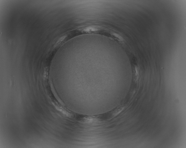 X0000068280284200604211119