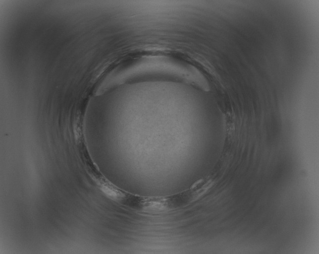 X0000068280285200604211119