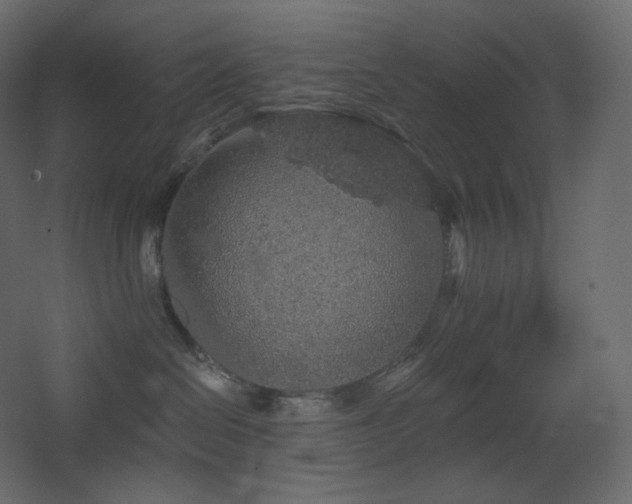 X0000068280286200604211119