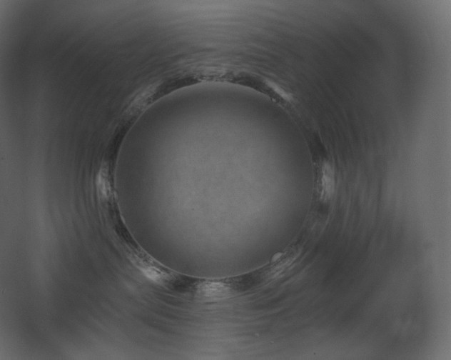 X0000068280287200604211119