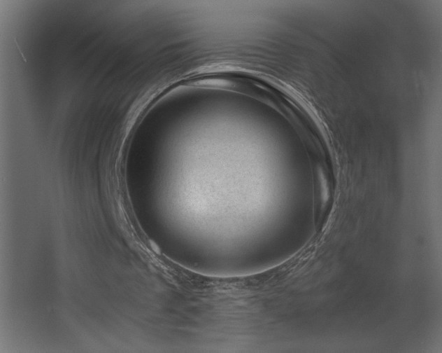 X0000068280289200604211118
