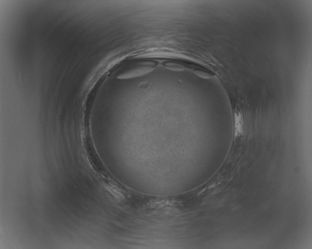 X0000068280291200604211118