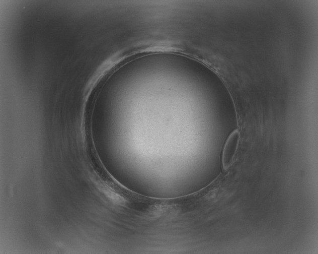 X0000068280296200604211118