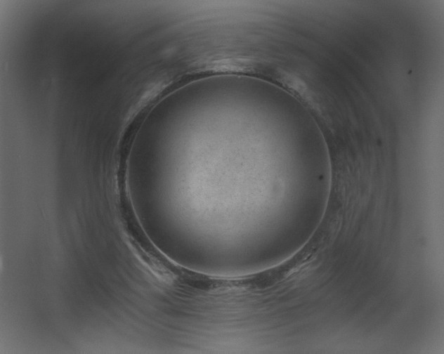 X0000068280299200604211118