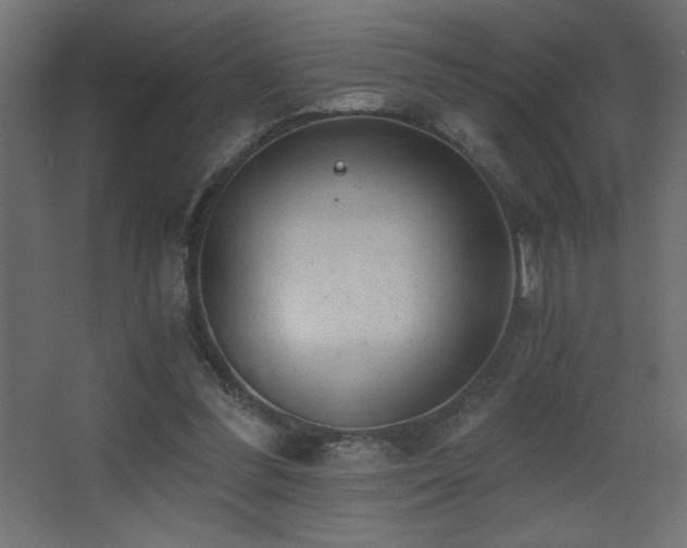 X0000068280300200604211118